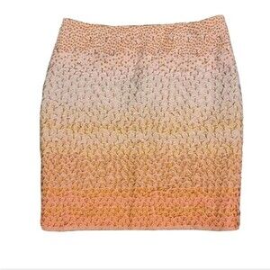 Anthropologie HD In Paris Embroidered Ombré Skirt